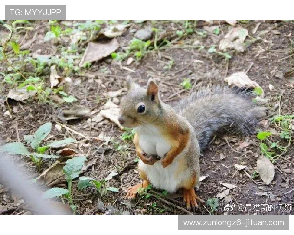 亚博YaBoapp官网最新版本下载安装指南，全面解析亚博YaBoapp官网功能与使用技巧