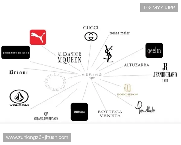 开云体育集团官网详解公司背景、发展历程与未来战略布局 开云体育集团官网详解公司背景、发展历程与未来战略布局